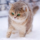 WINTERPFLEGE
