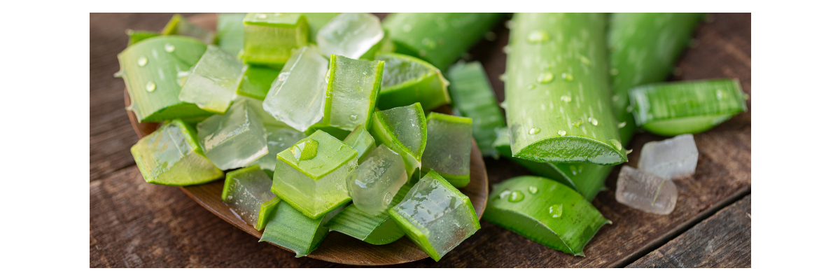 Aloe Studioline Reinigungsmilch - Aloe Vera Gesichtsreinigung 