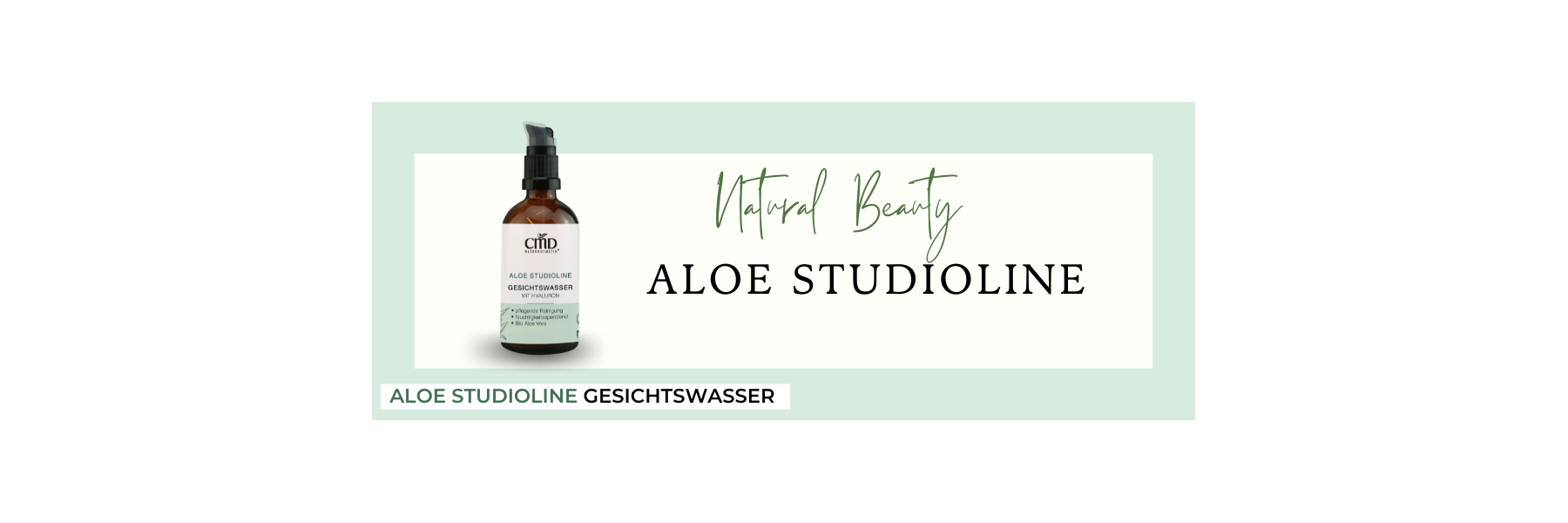 aloe vera pflanze halten Tipps zur Pflege deiner Pflanze : Aloe arborescens  PflanzenFuerAlle