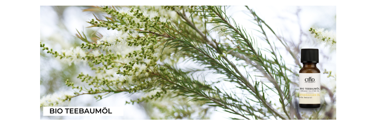 Teebaumöl und seine Anwendungen - CMD Naturkosmetik-Teebaumöl und seine Anwendungen