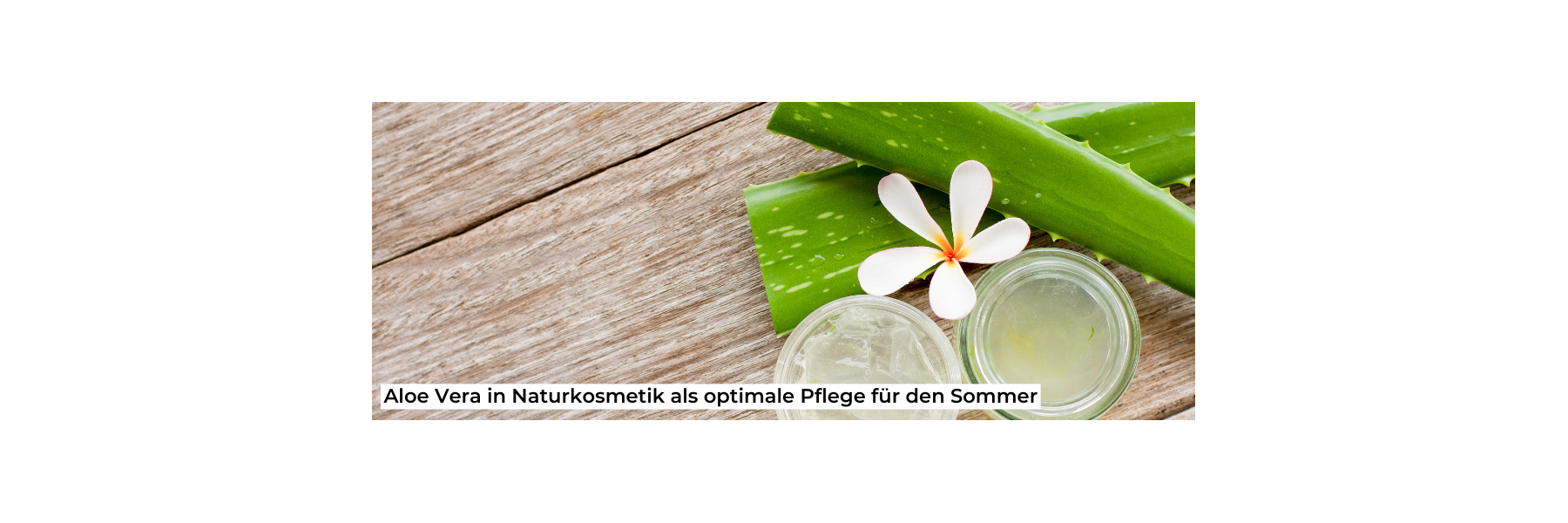 aloe vera anti falten gesichtscreme 3 Anti-Aging Produkte bei Falten mit Vitamin C,E & F