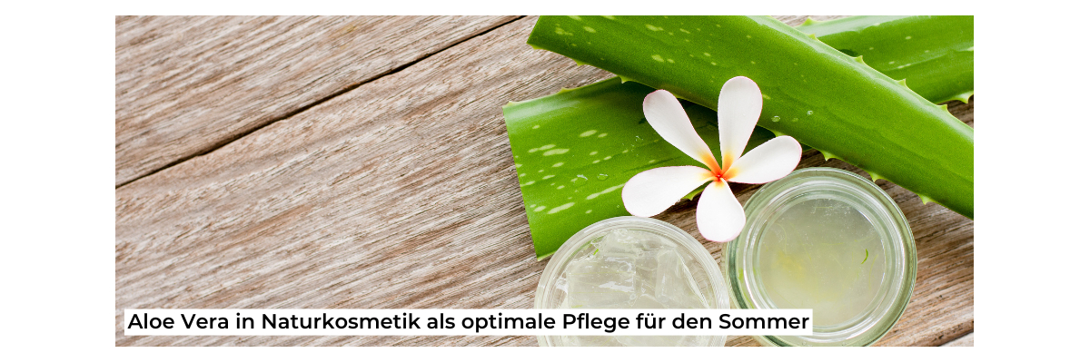 Aloe Vera in der Naturkosmetik: Die optimale Pflege für den Sommer - Aloe Vera in der Naturkosmetik – Perfekte Sommerpflege